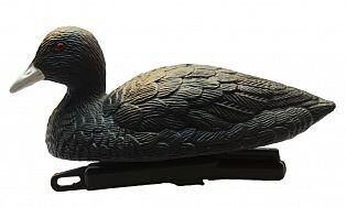 Чучело утки-лысухи плавающей (7467)